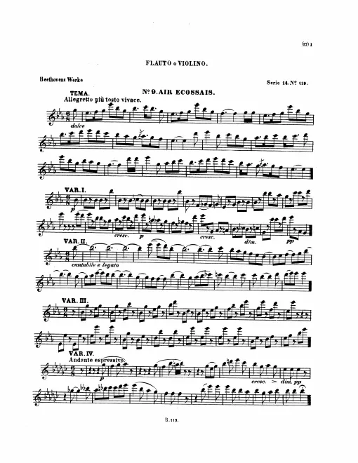 Flute