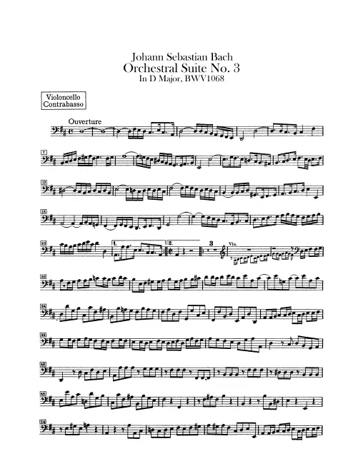 Cellos/Basses