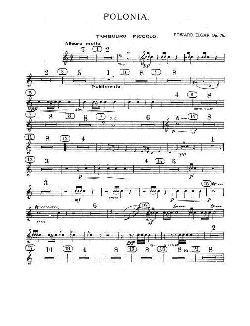 Snare Drum, Tambourine, Triangle