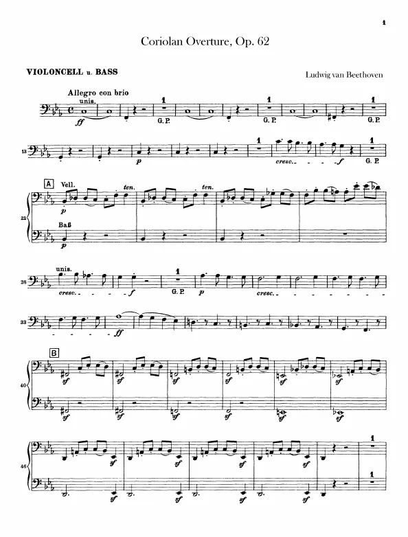 Cellos / Basses