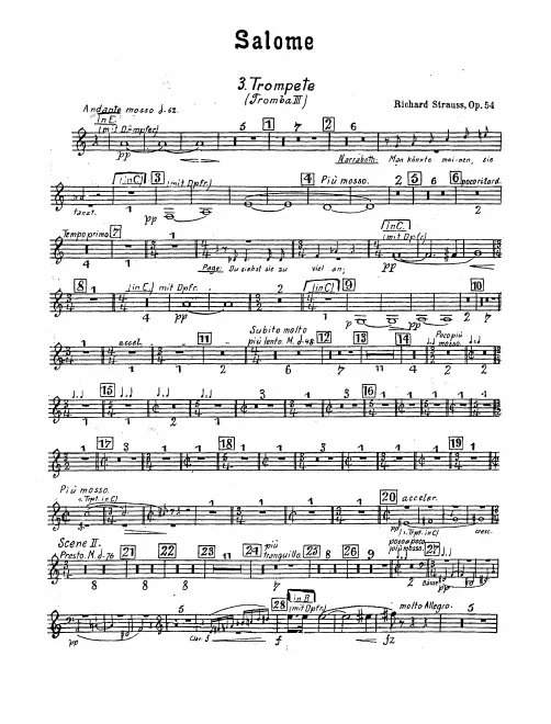 Trumpet 3