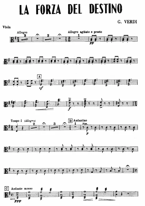 Viola