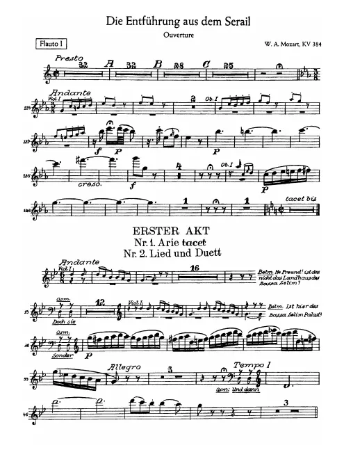 Flute 1