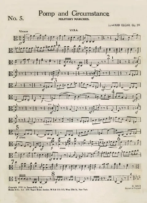 Violas
