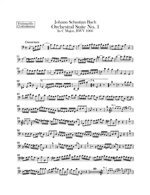 Cellos and Basses