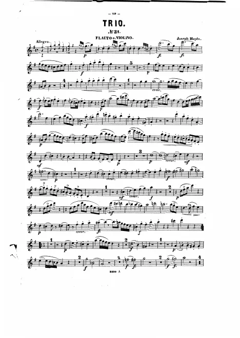 Violin