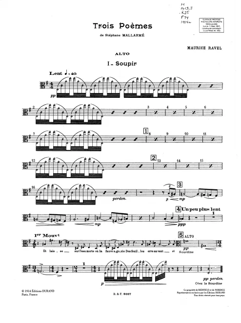 Viola
