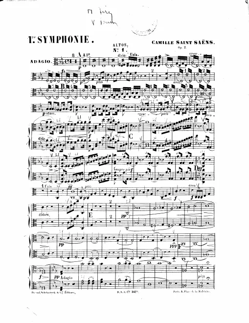 Violas