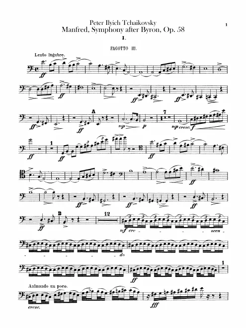 Bassoon 3