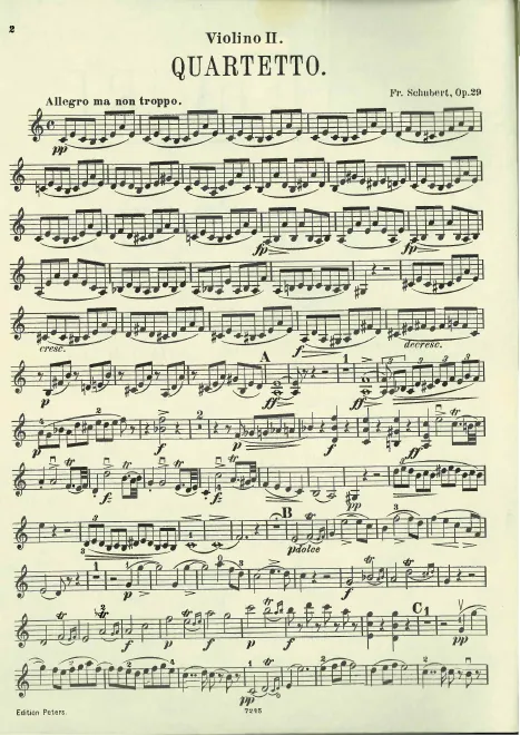 Violin 2