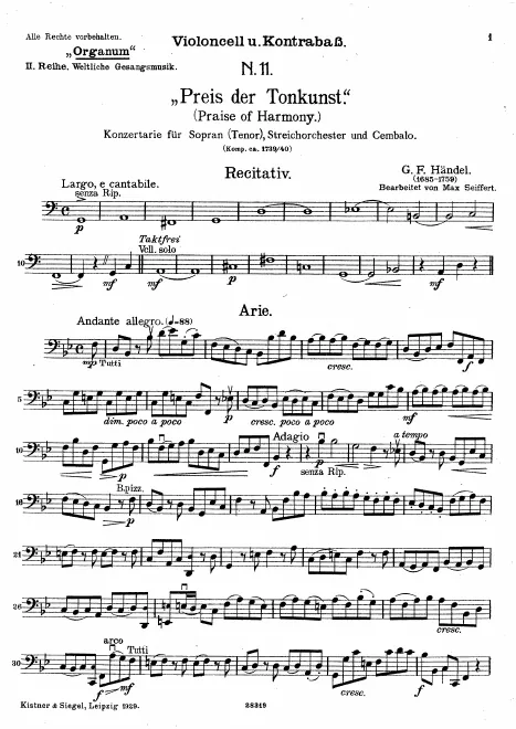 Cellos and Basses