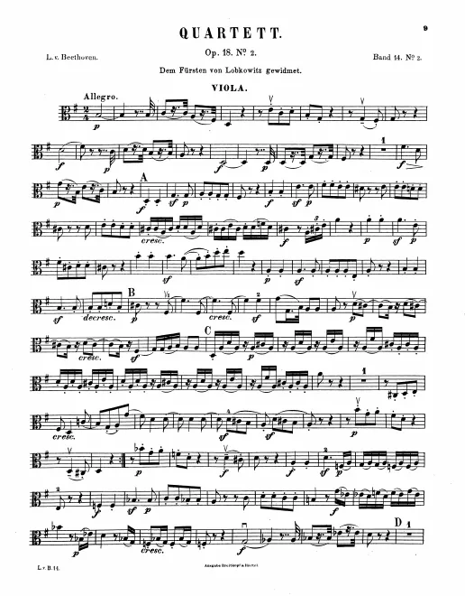 Viola