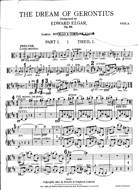 Violas