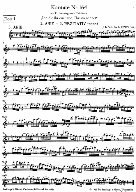 Flute 1