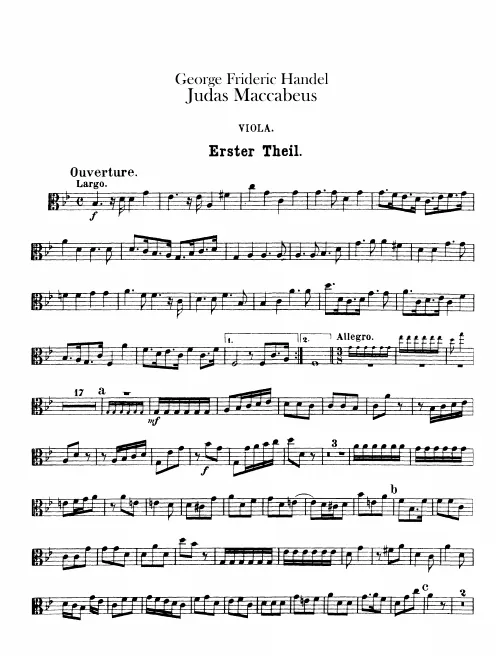 Violas