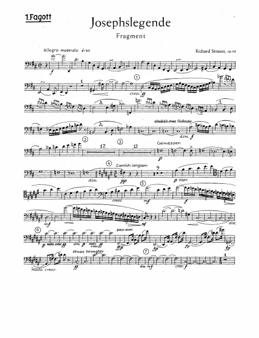 Bassoon 1, 2, 3, Contrabassoon