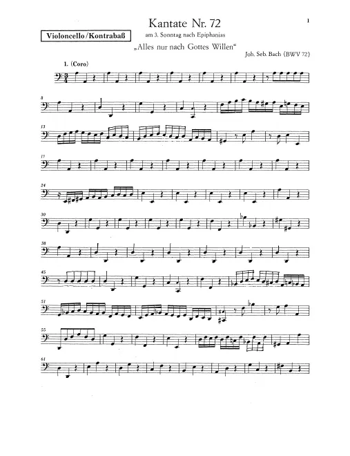 Continuo (Cellos/Basses/Keyboard)