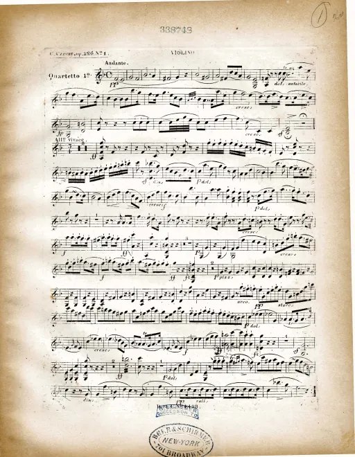 Violin