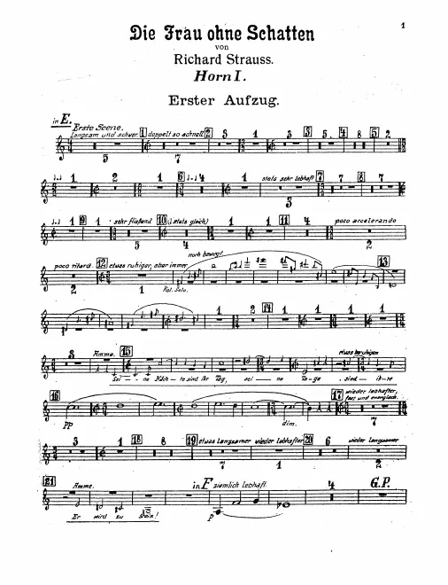 Horn 1