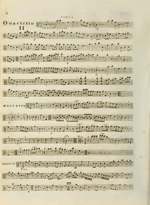 Viola