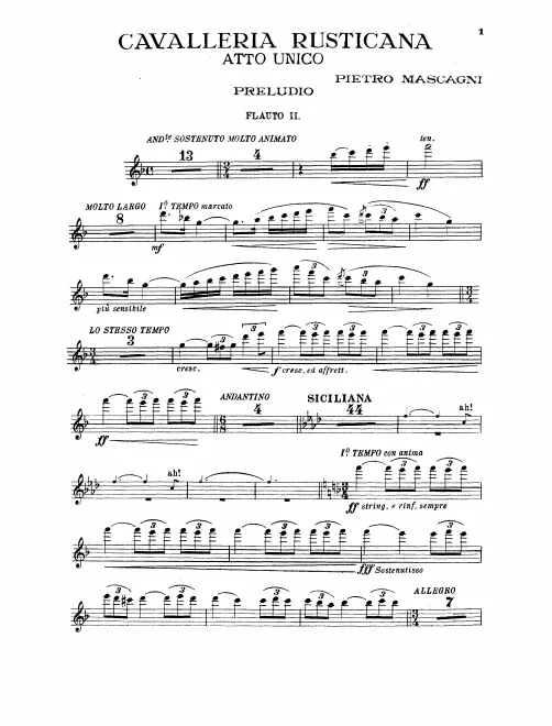 Flute 2