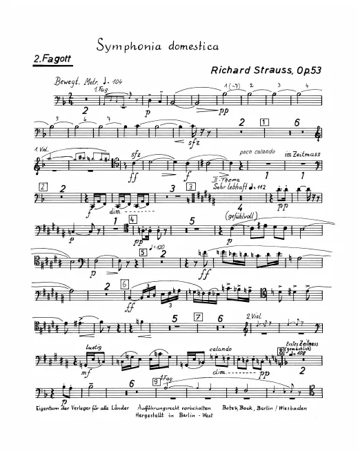 Bassoon 2
