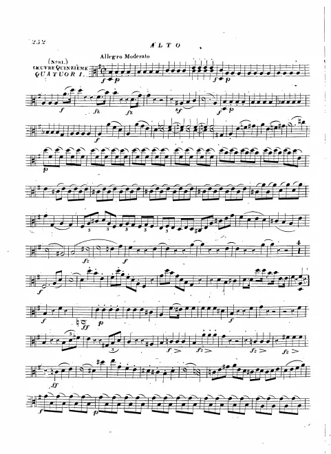 Viola