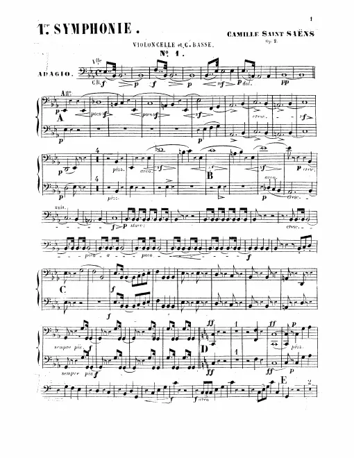 Cellos/Basses