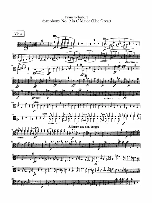 Violas