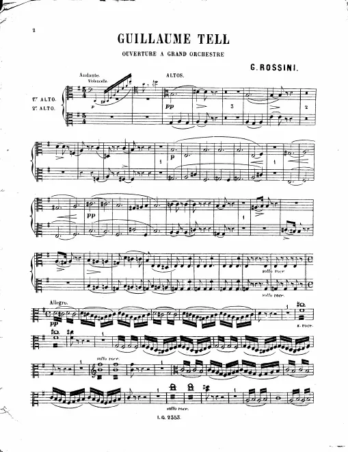 Violas