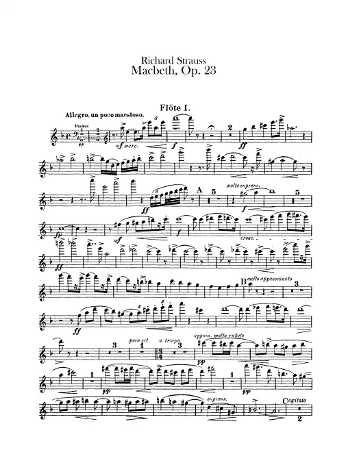 Flute 1