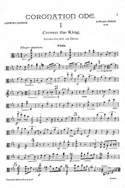 Violas