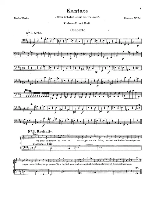Cellos/Basses