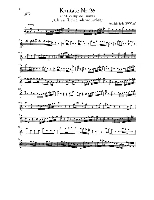 Flute