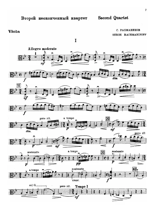 Viola