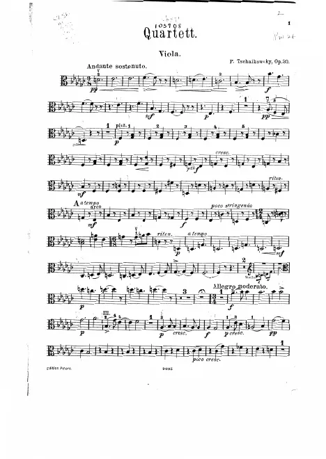 Viola