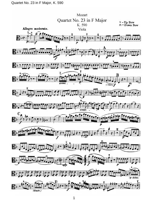 Viola
