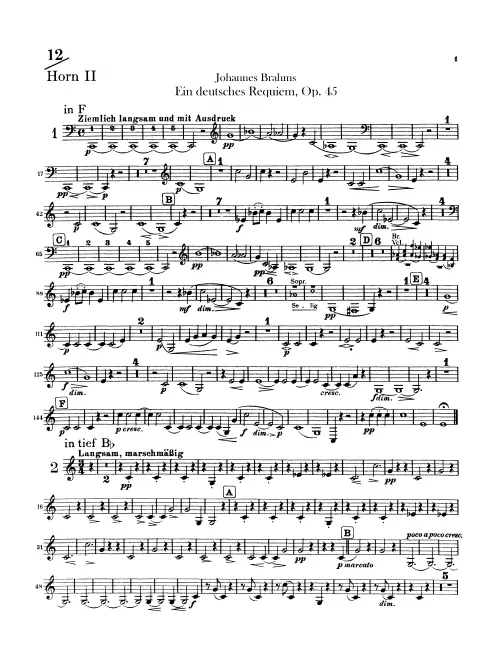 Horn 2 (F/B basso/D/E/C)
