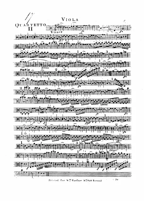 Viola