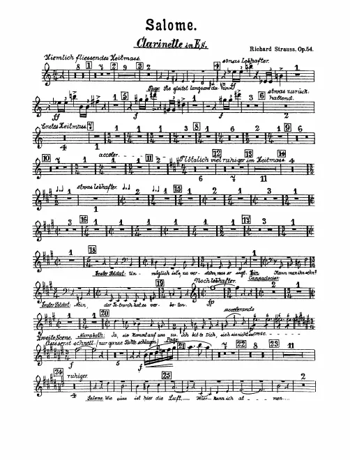 Piccolo Clarinet (E)