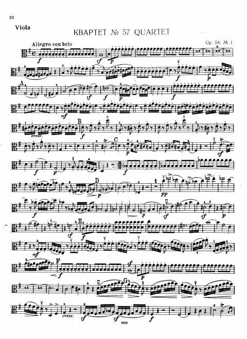 Viola
