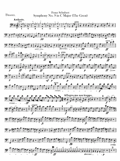 Basses