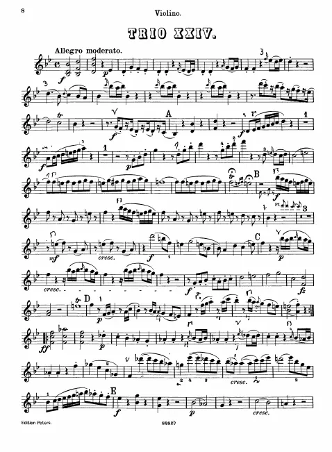Violin