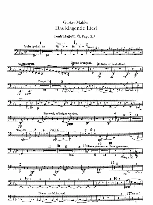 Bassoon 3/Contrabassoon