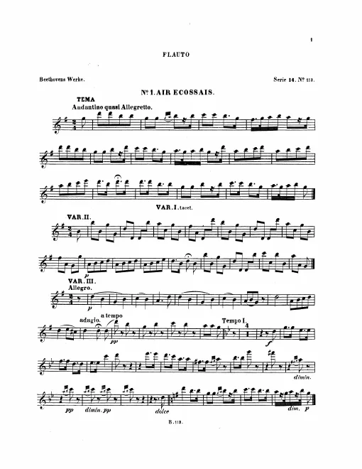 Flute