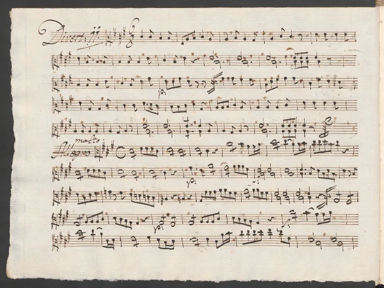 Viola