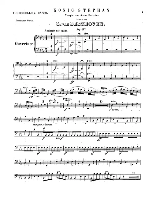 Cellos/Basses