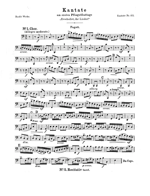 Bassoon