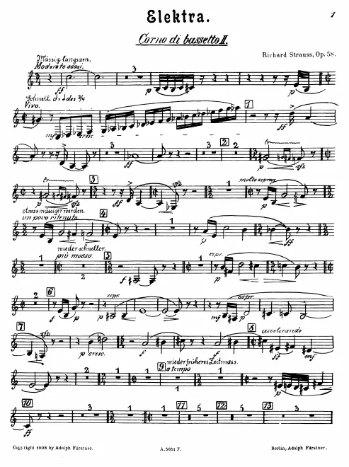Basset Horn 2
