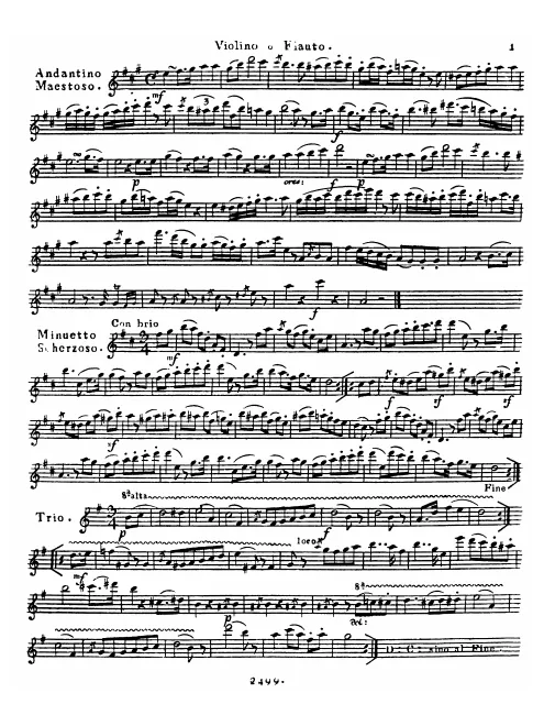 Flute/Violin